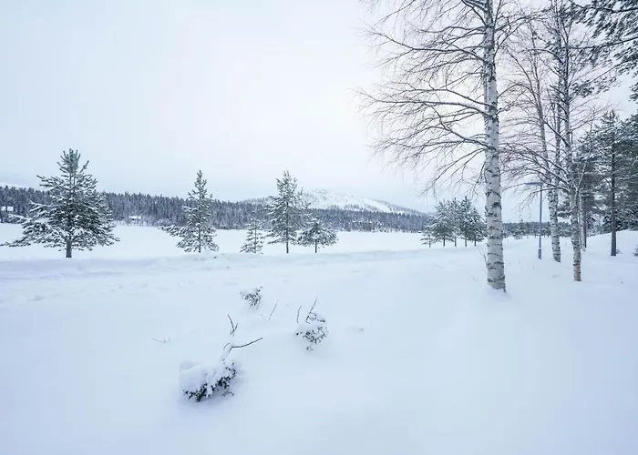 Kuuru Lakeside * סאלה